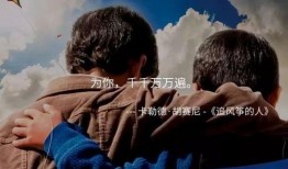 追风筝的人在线观看,跨越时光的友谊与救赎